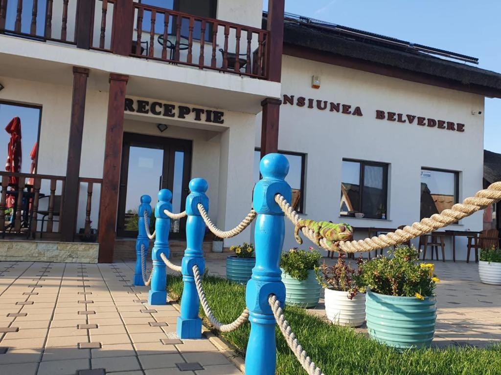 Pensiunea Belvedere Gasthof Murighiol